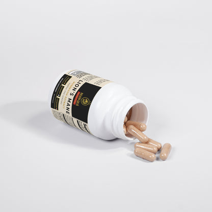 Ngon Quá Lion’s Mane Mushroom